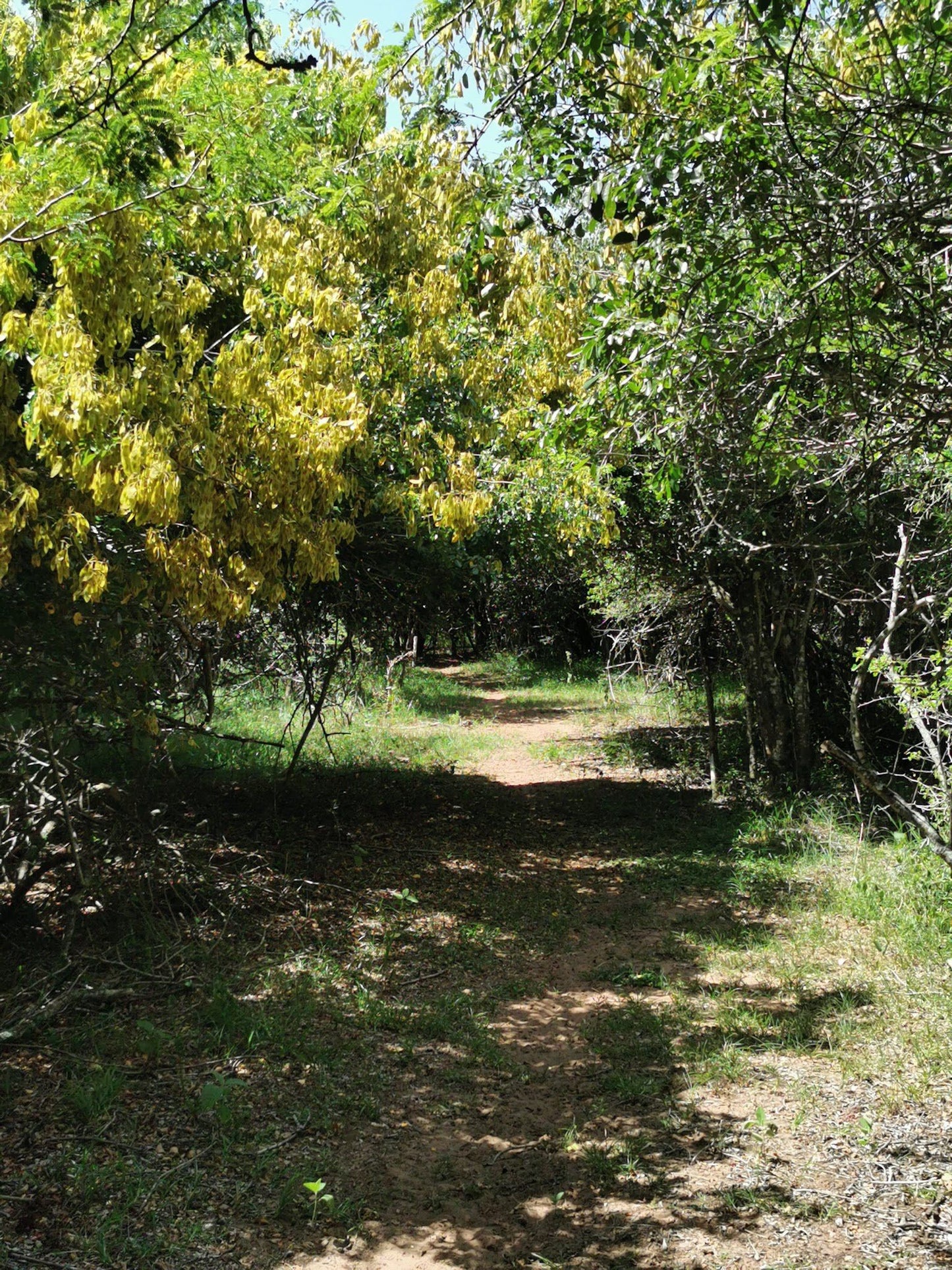  Kuleni Game Park