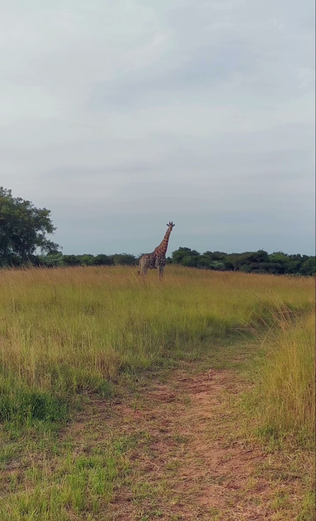  Kuleni Game Park