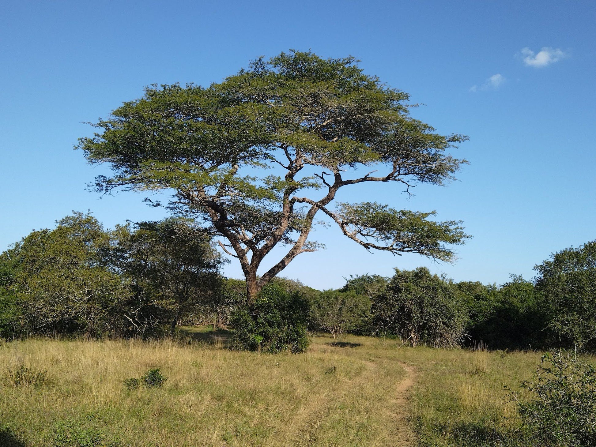  Kuleni Game Park