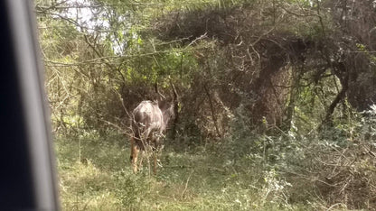  Kuleni Game Park