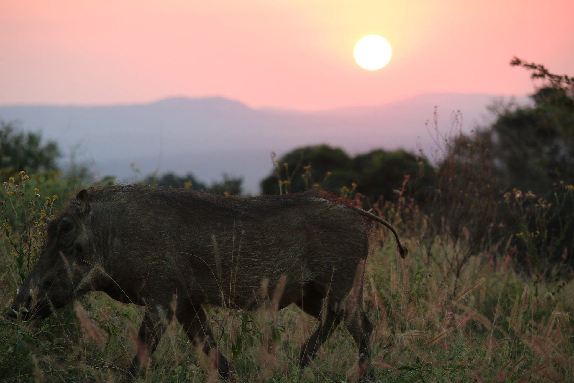  Kuleni Game Park