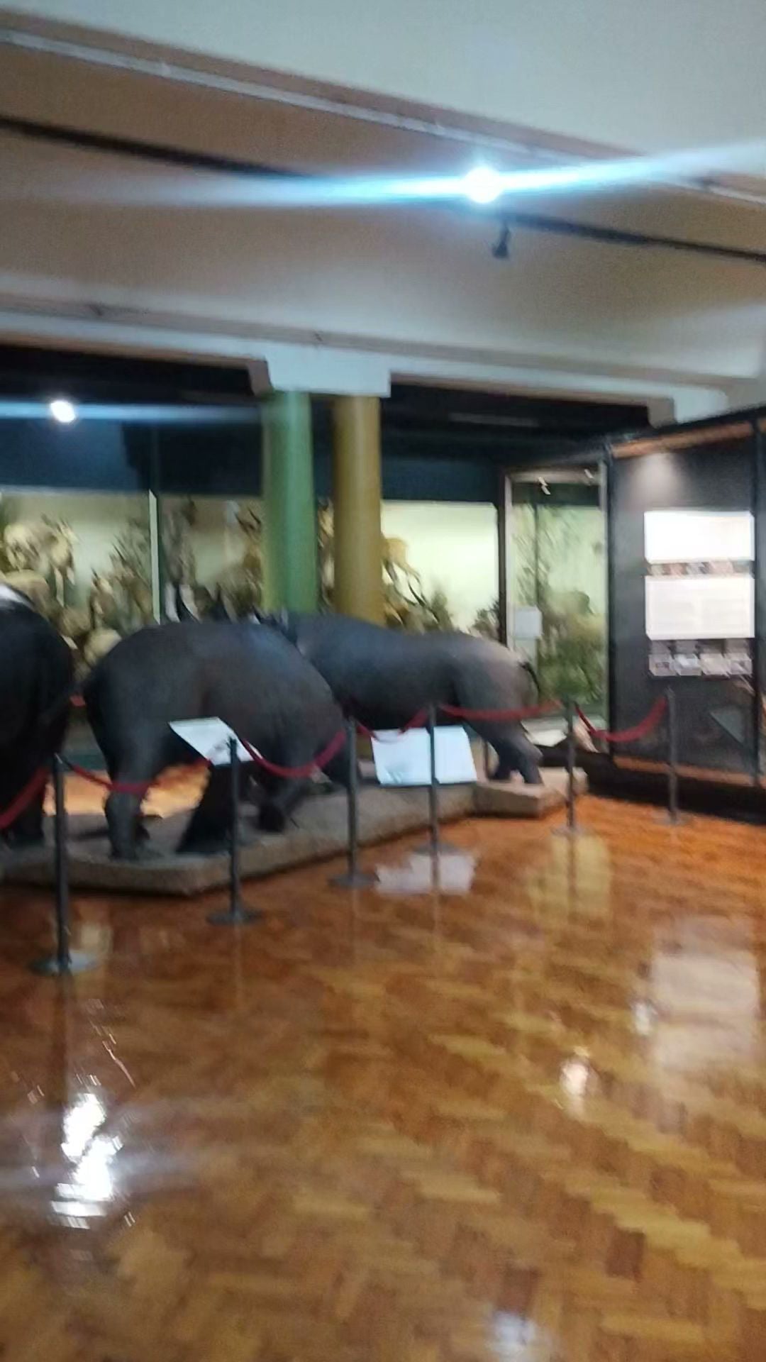  KwaZulu-Natal Museum