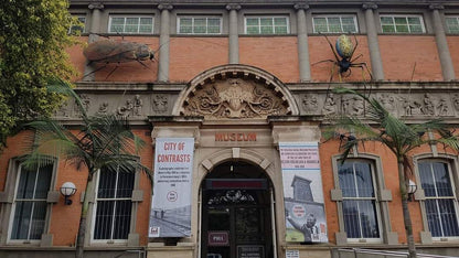  KwaZulu-Natal Museum