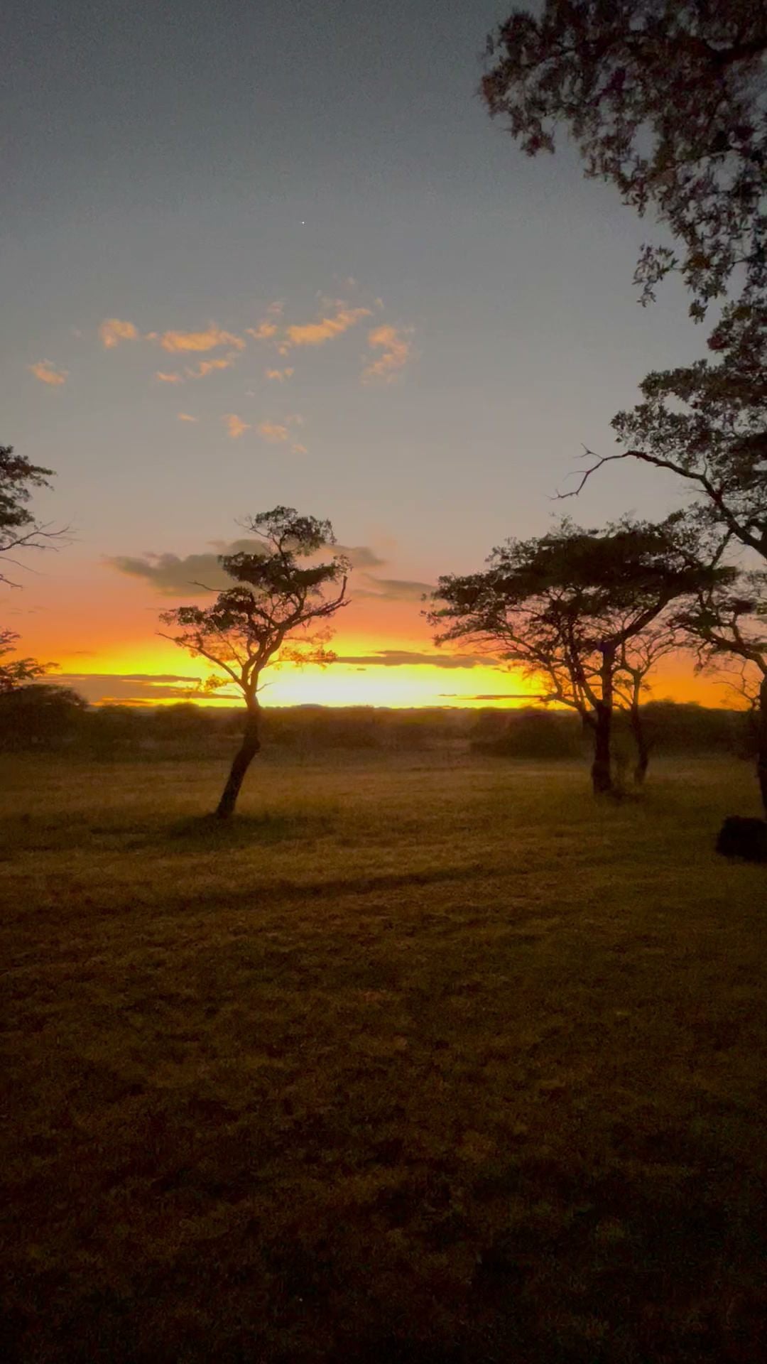  Kwalata Game Lodge in Dinokeng Game Reserve