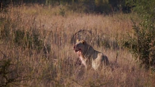  Kwalata Game Lodge in Dinokeng Game Reserve