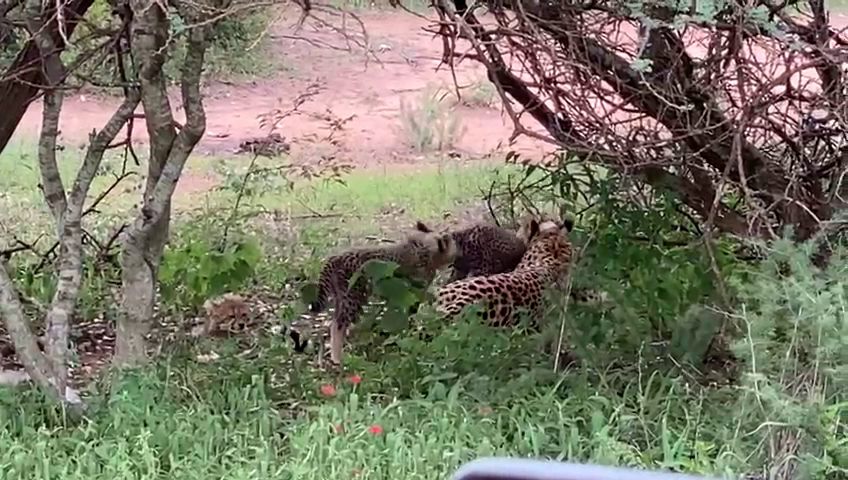  Kwalata Game Lodge in Dinokeng Game Reserve