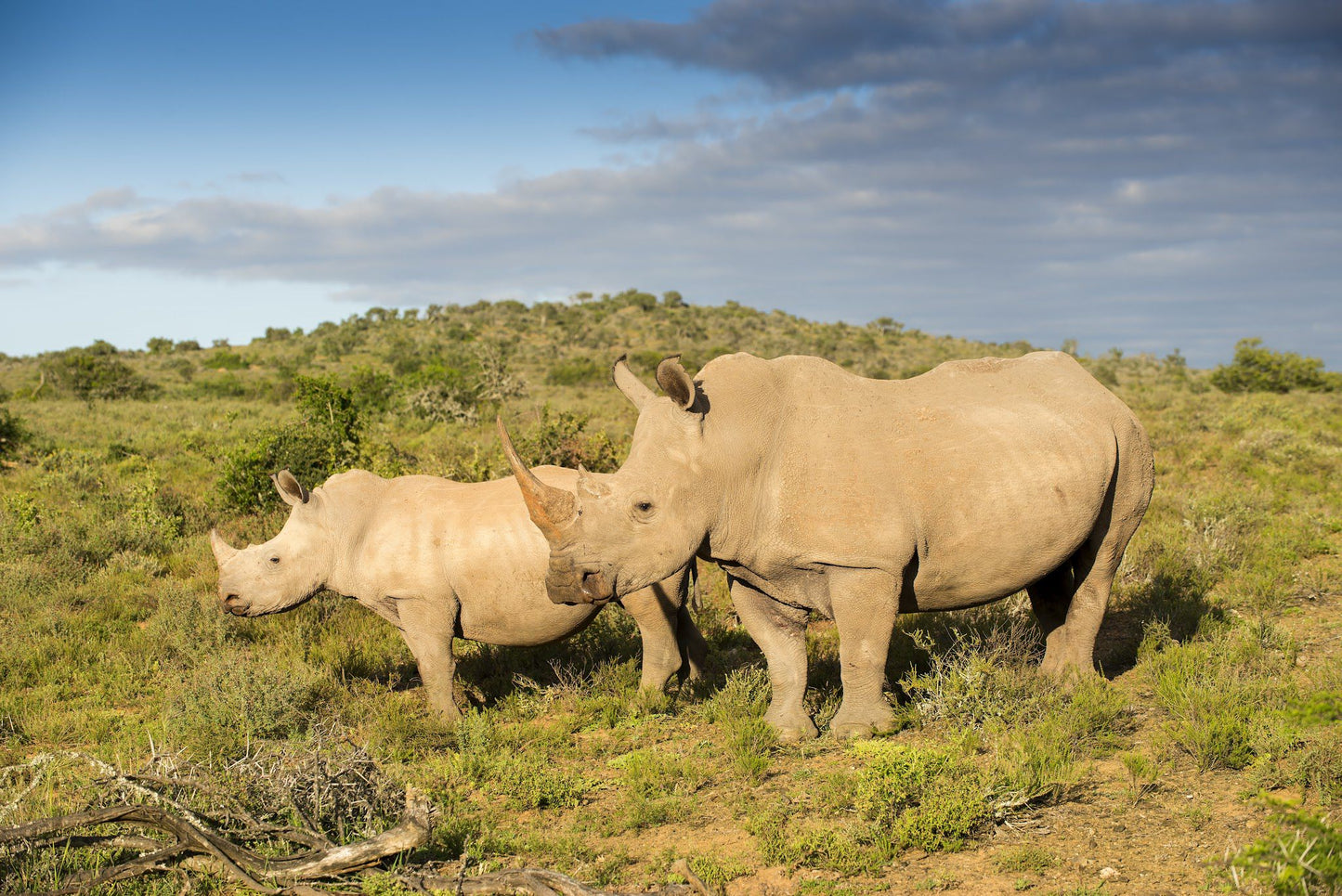  Kwandwe Private Game Reserve