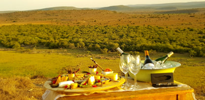  Kwandwe Private Game Reserve