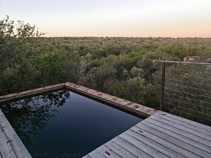  Kwandwe Private Game Reserve