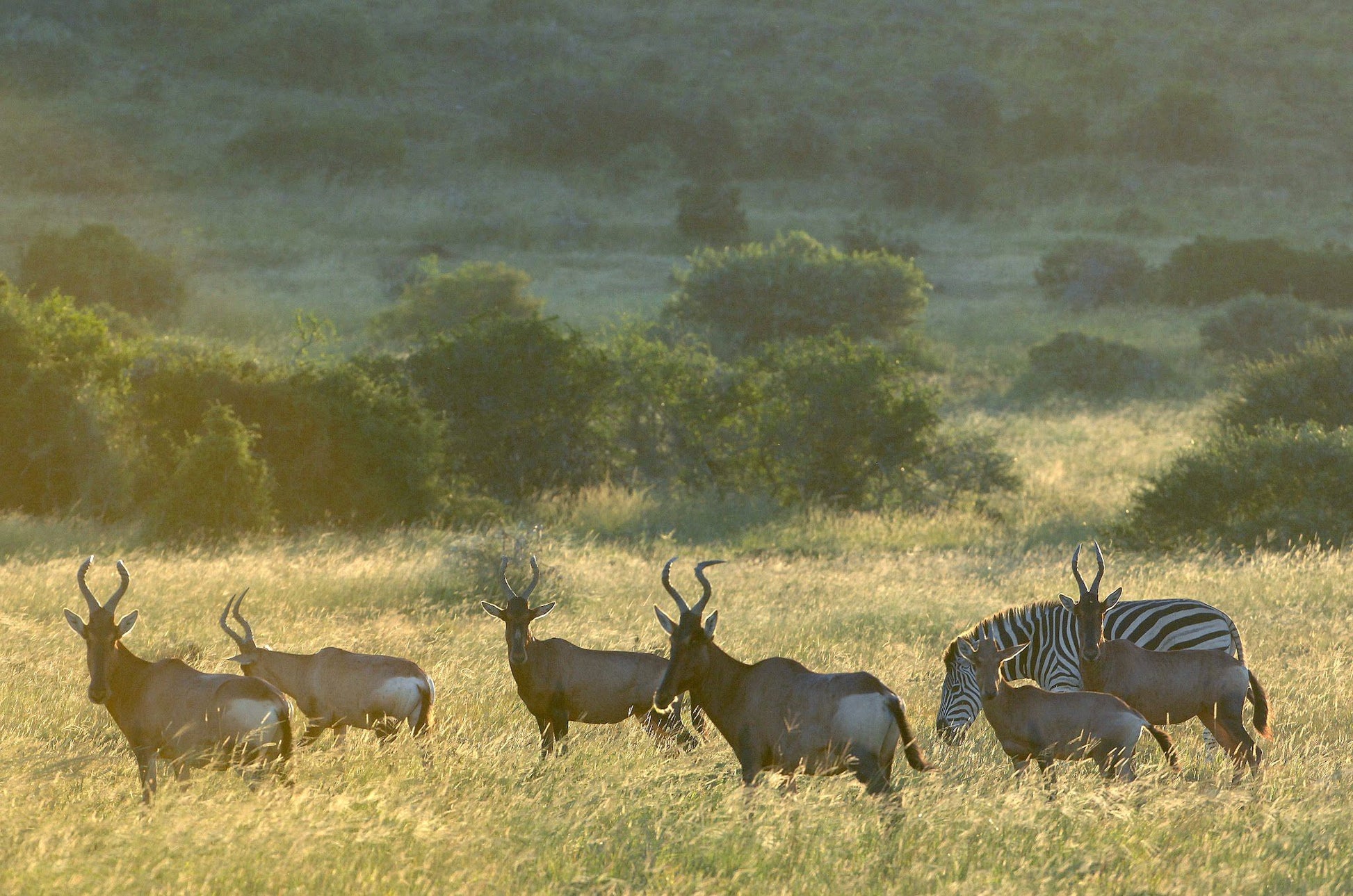  Kwandwe Private Game Reserve