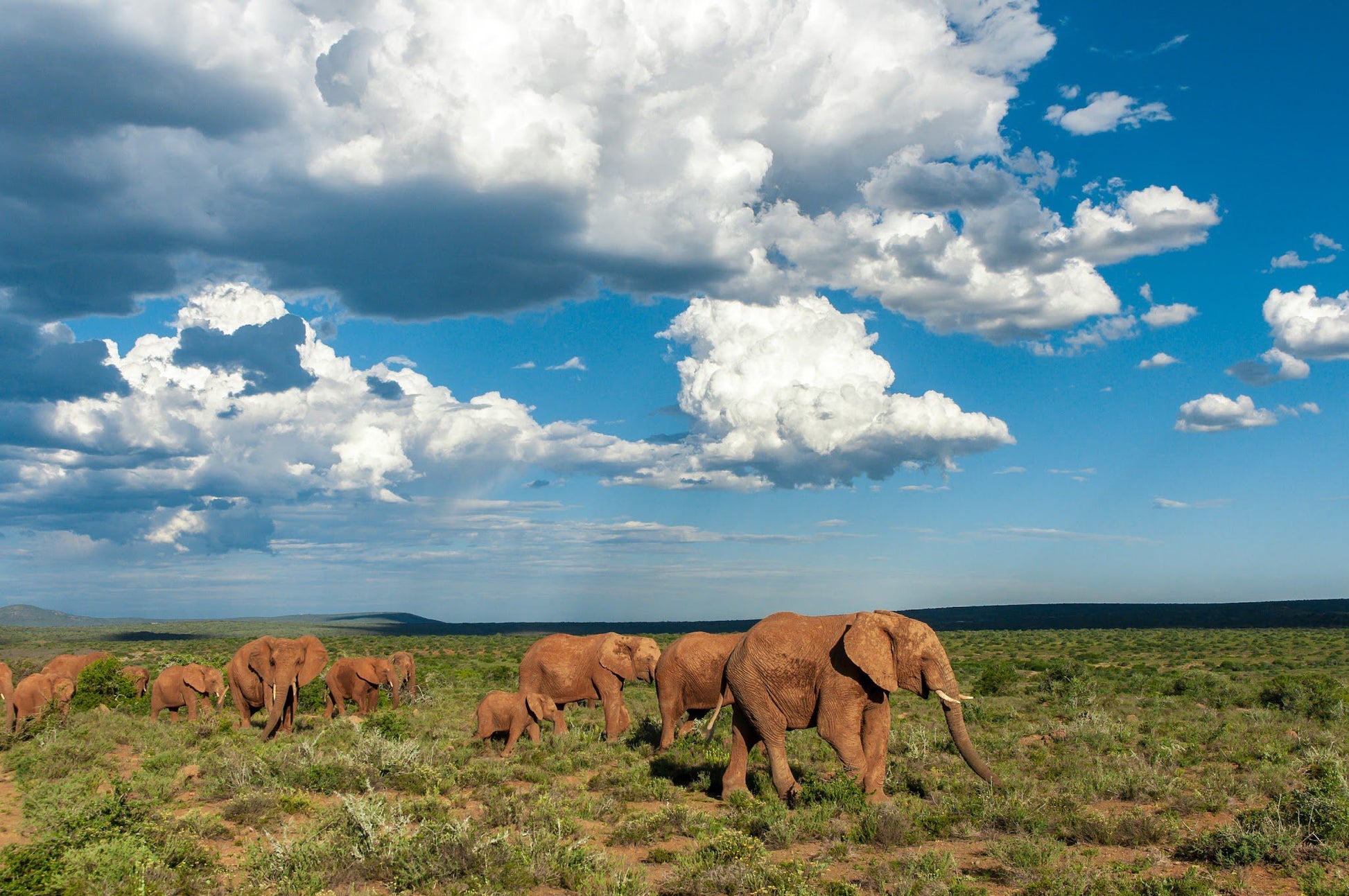  Kwandwe Private Game Reserve