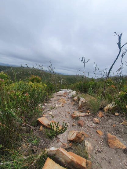 LADY'S SLIPPER HIKING TRAILS - Green Trail, Red Trail and Chameleon Trail