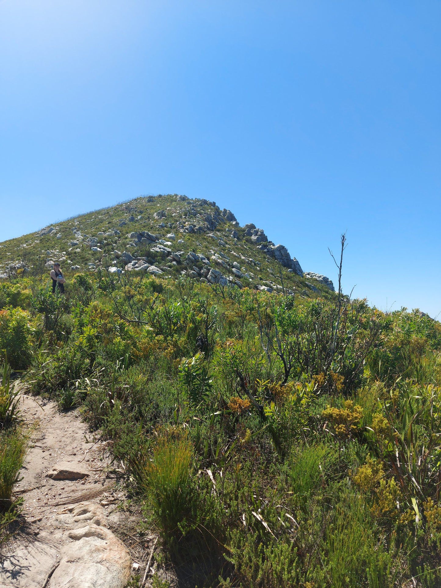 LADY'S SLIPPER HIKING TRAILS - Green Trail, Red Trail and Chameleon Trail