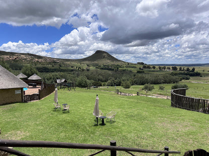  LIONSROCK Big Cat Sanctuary