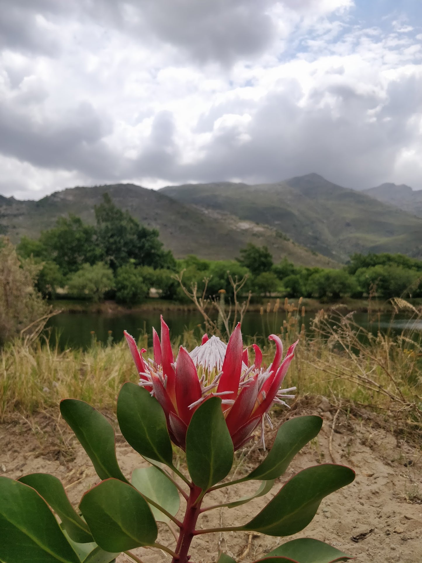 La Motte Hiking Trail