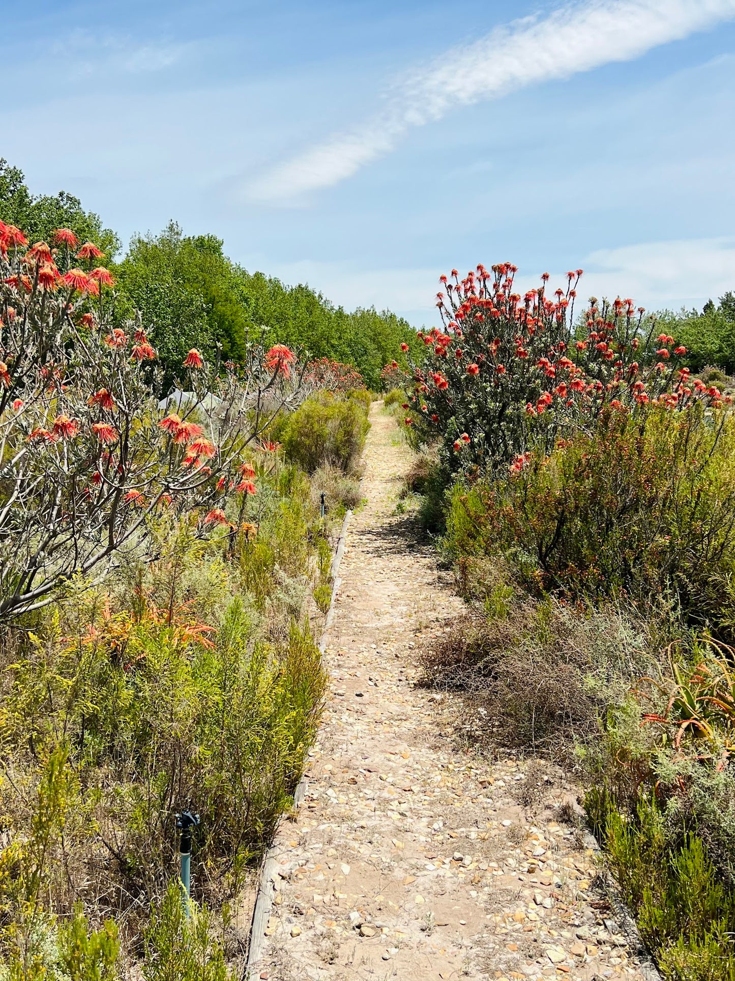 La Motte Hiking Trail