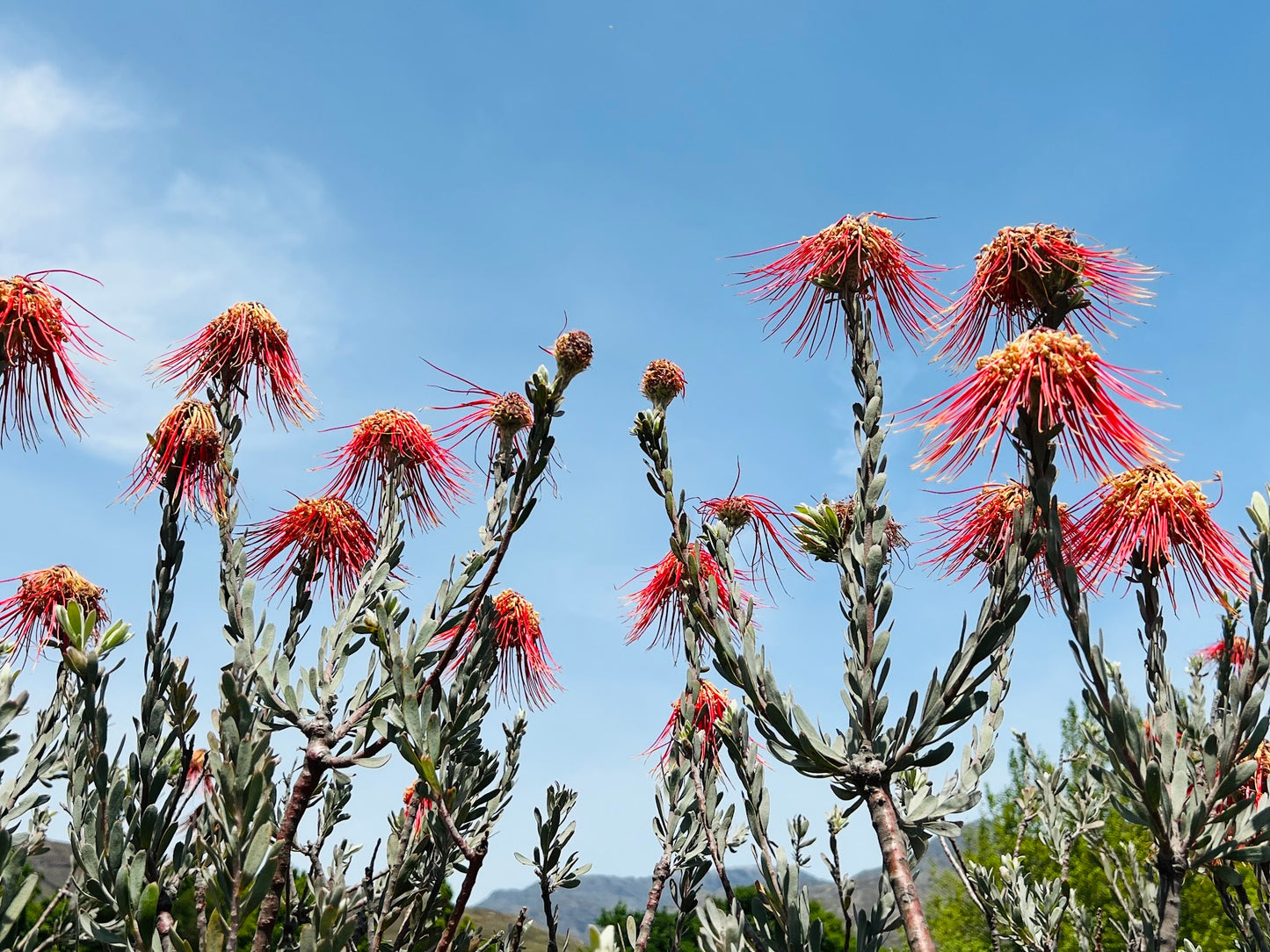 La Motte Hiking Trail