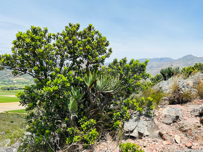 La Motte Hiking Trail