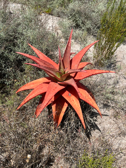 La Motte Hiking Trail