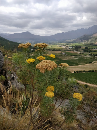 La Motte Hiking Trail