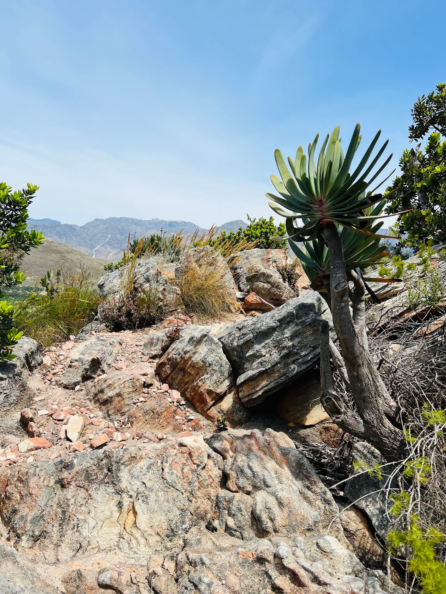 La Motte Hiking Trail