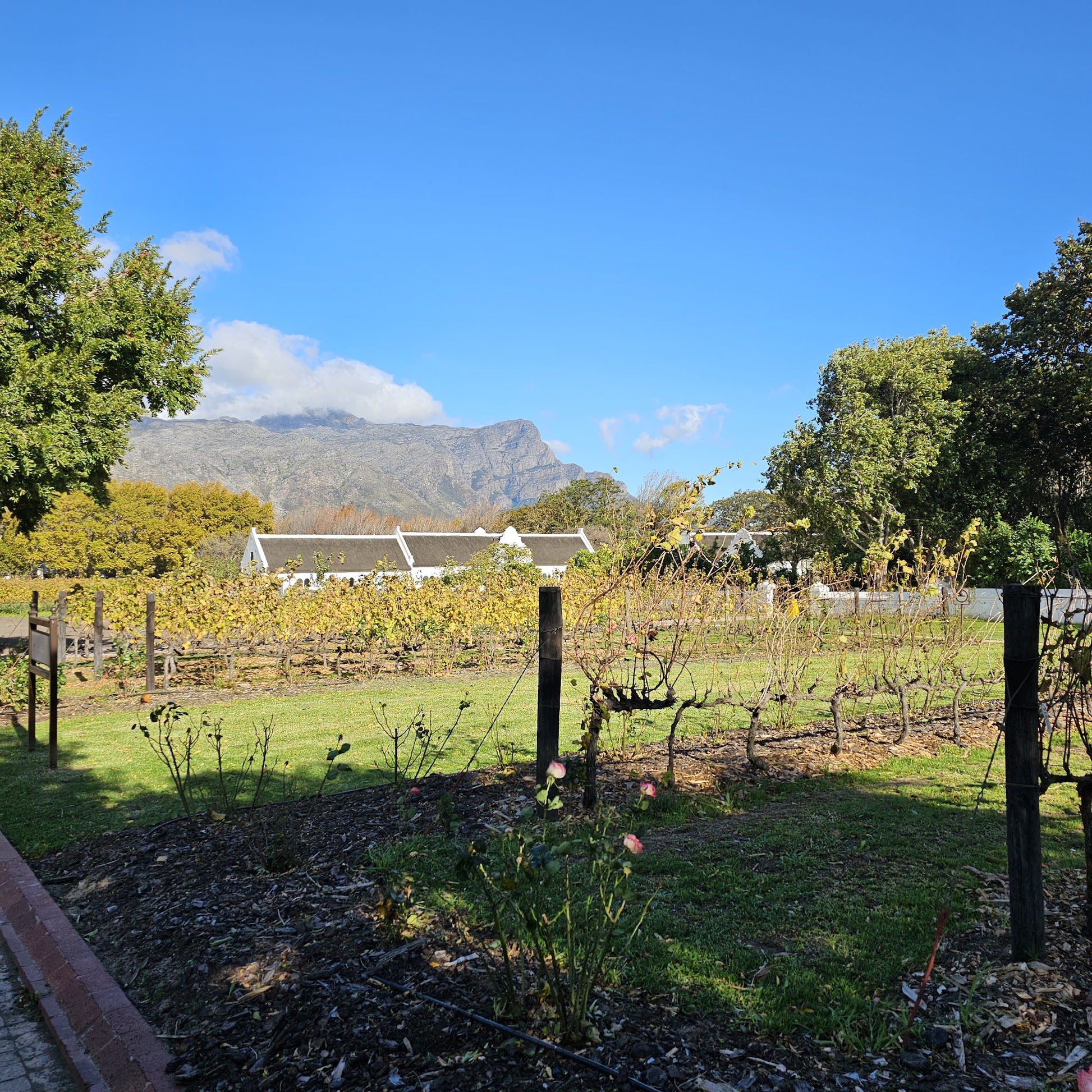  La Motte Wine Farm