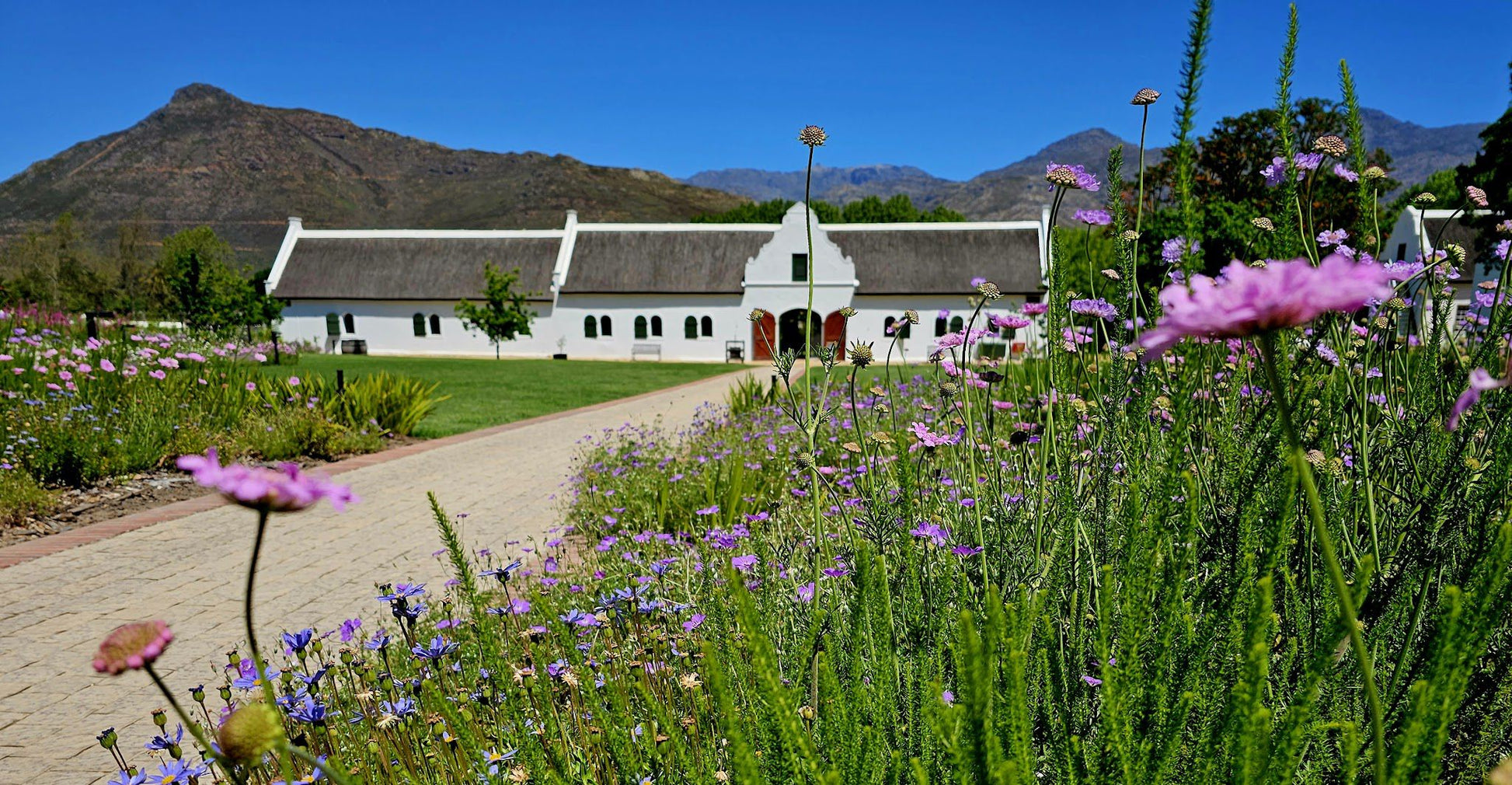  La Motte Wine Farm