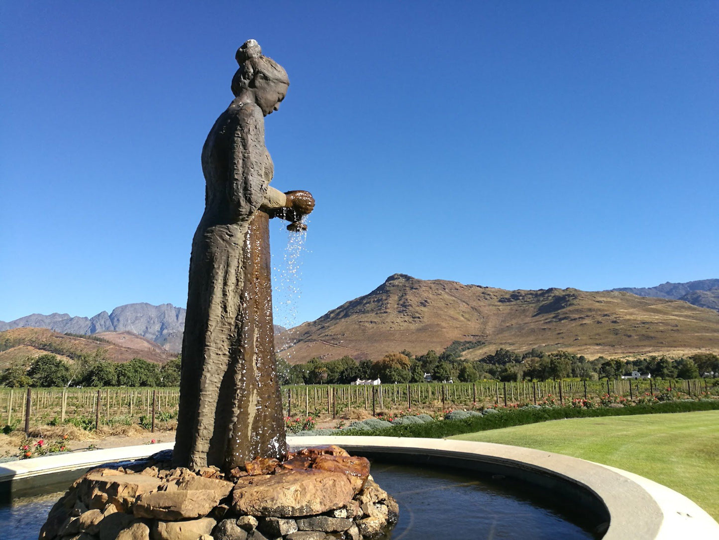  La Motte Wine Farm