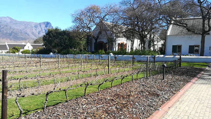  La Motte Wine Farm