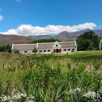  La Motte Wine Farm