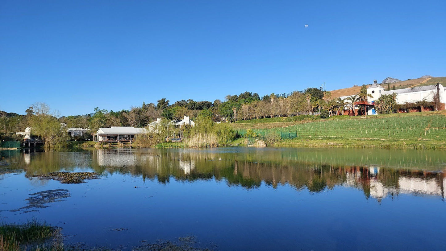  Ladybird Vineyards/Lodge