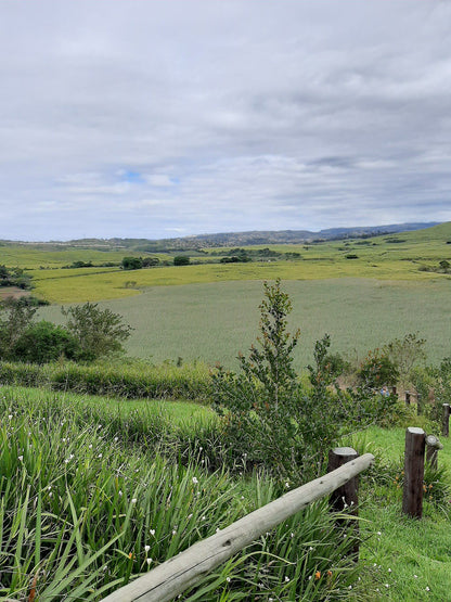  Lake Victoria Barn Swallow Viewing Site