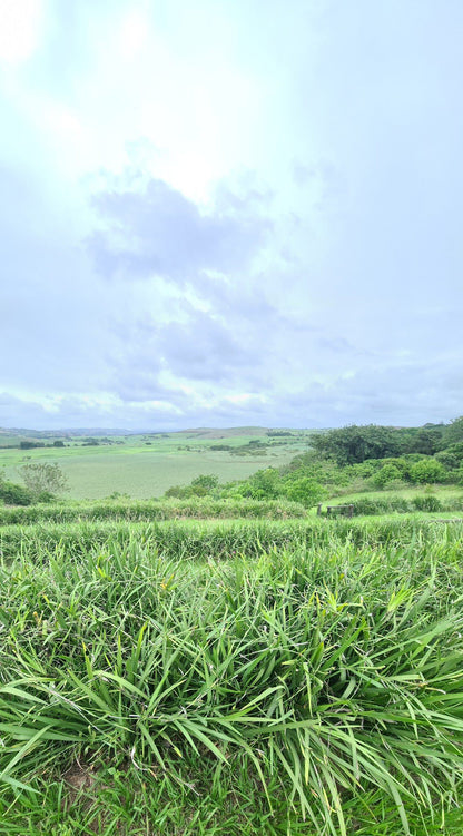  Lake Victoria Barn Swallow Viewing Site