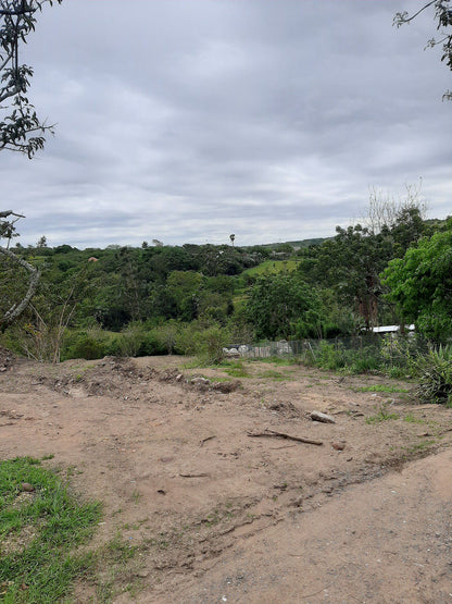  Lake Victoria Barn Swallow Viewing Site