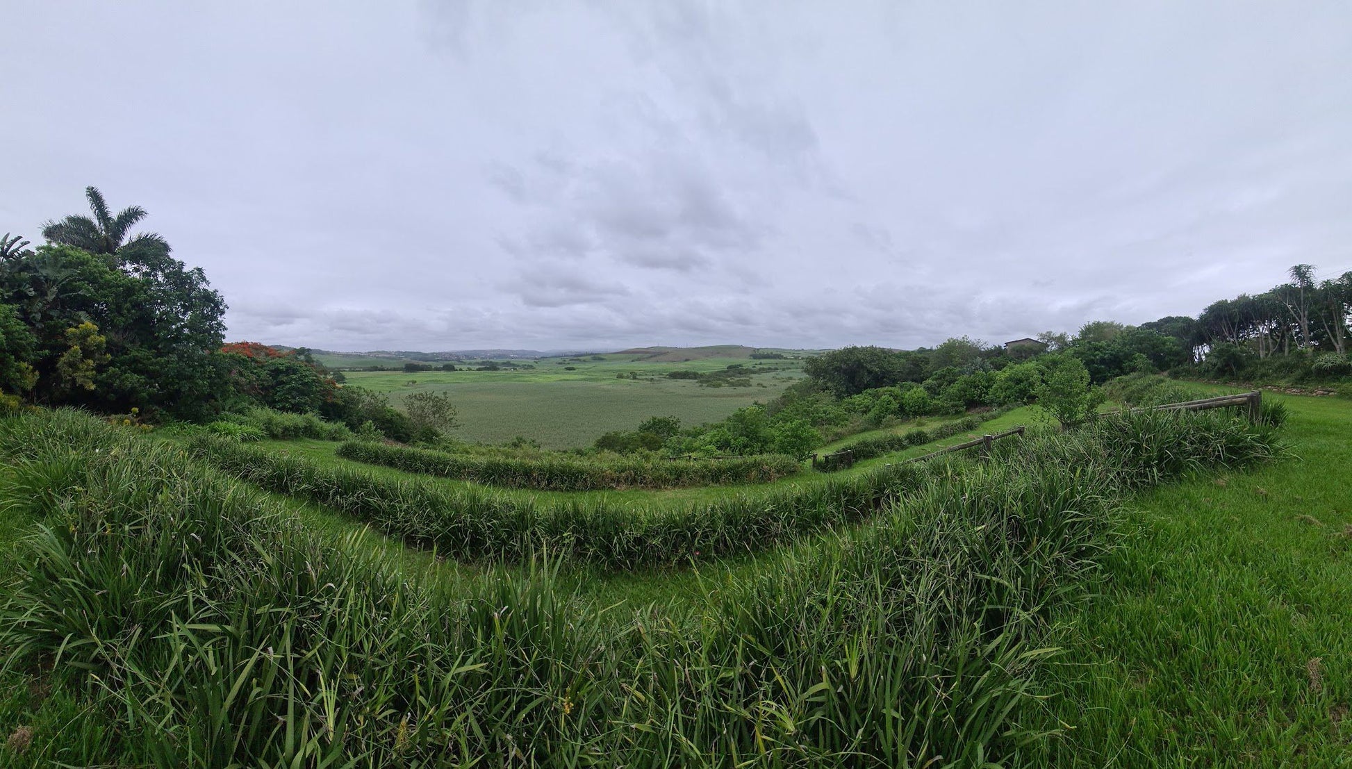  Lake Victoria Barn Swallow Viewing Site