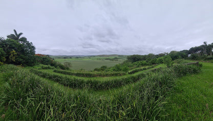  Lake Victoria Barn Swallow Viewing Site