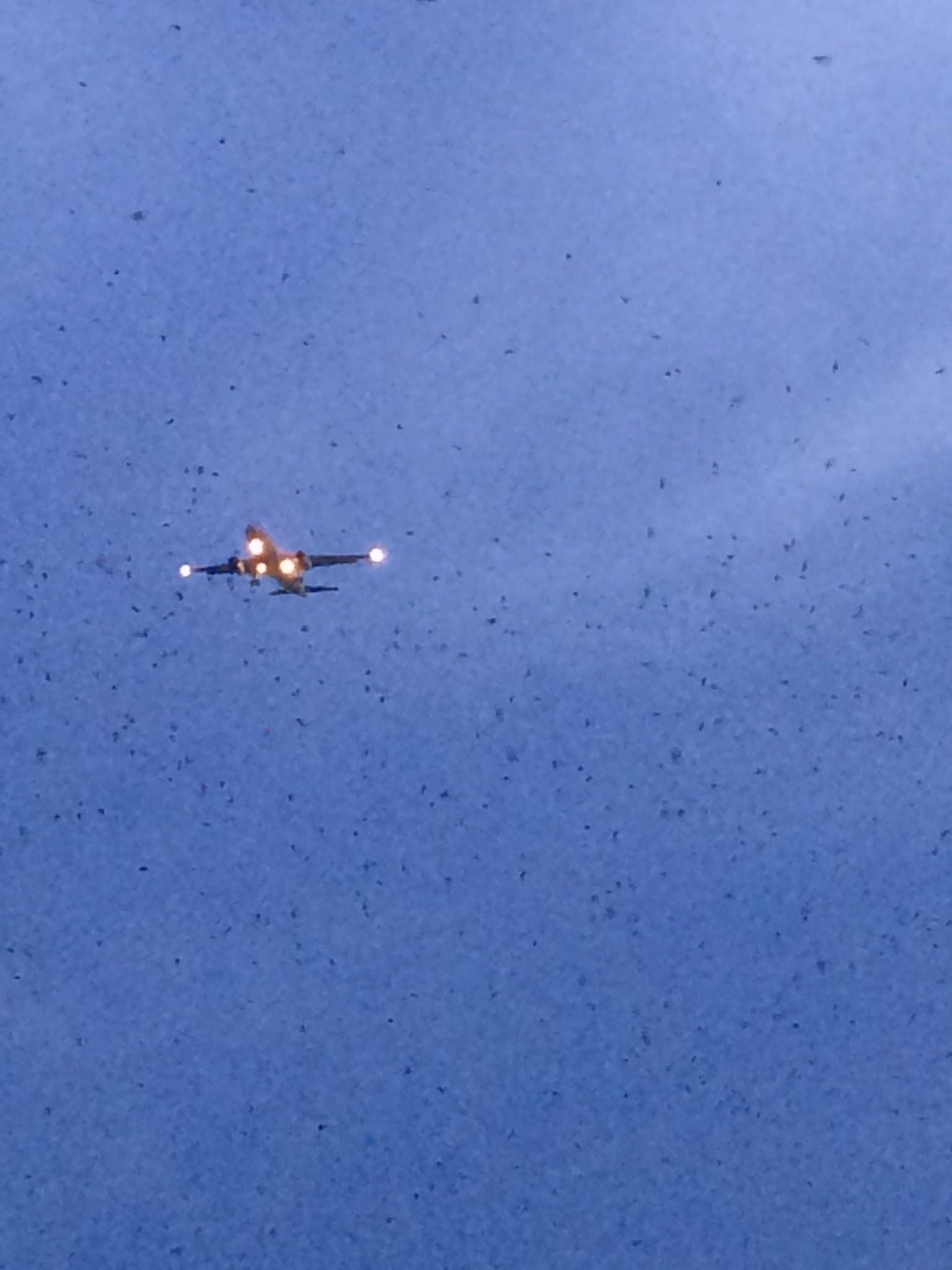  Lake Victoria Barn Swallow Viewing Site