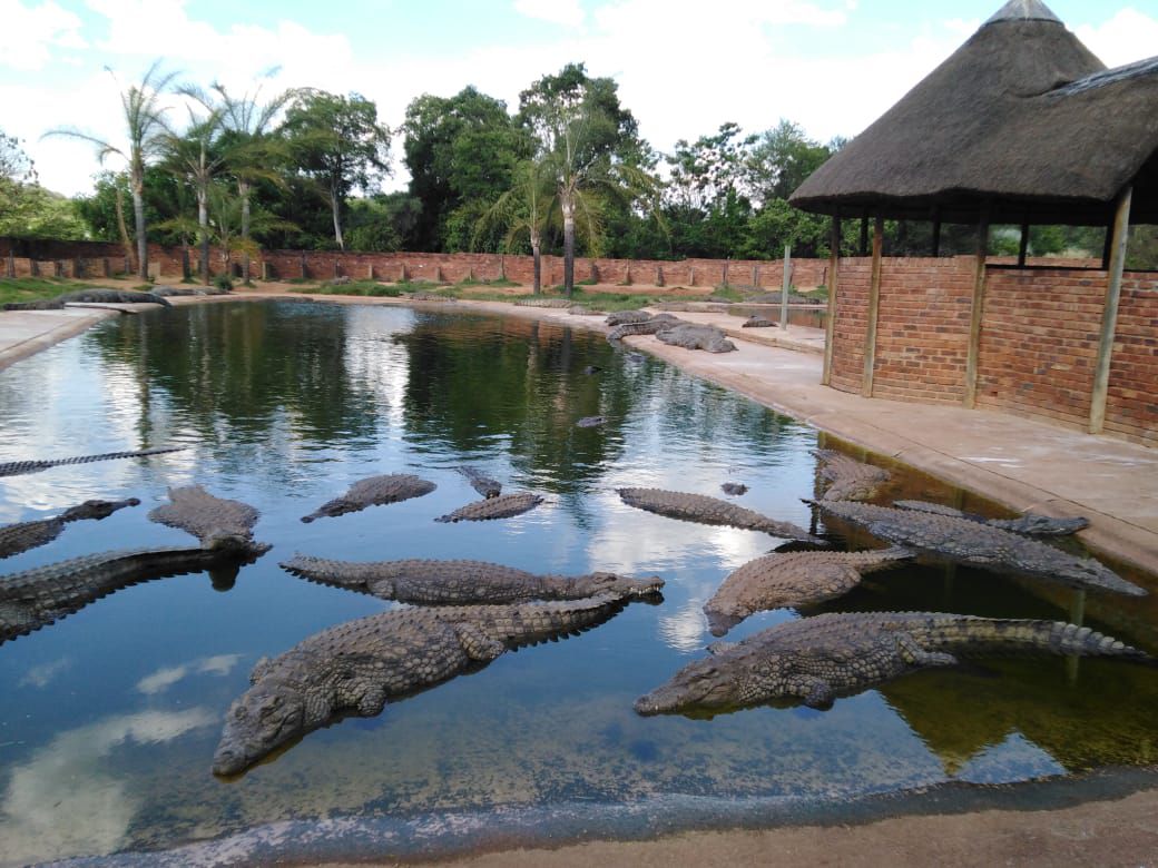  Lalele Crocodile Farm