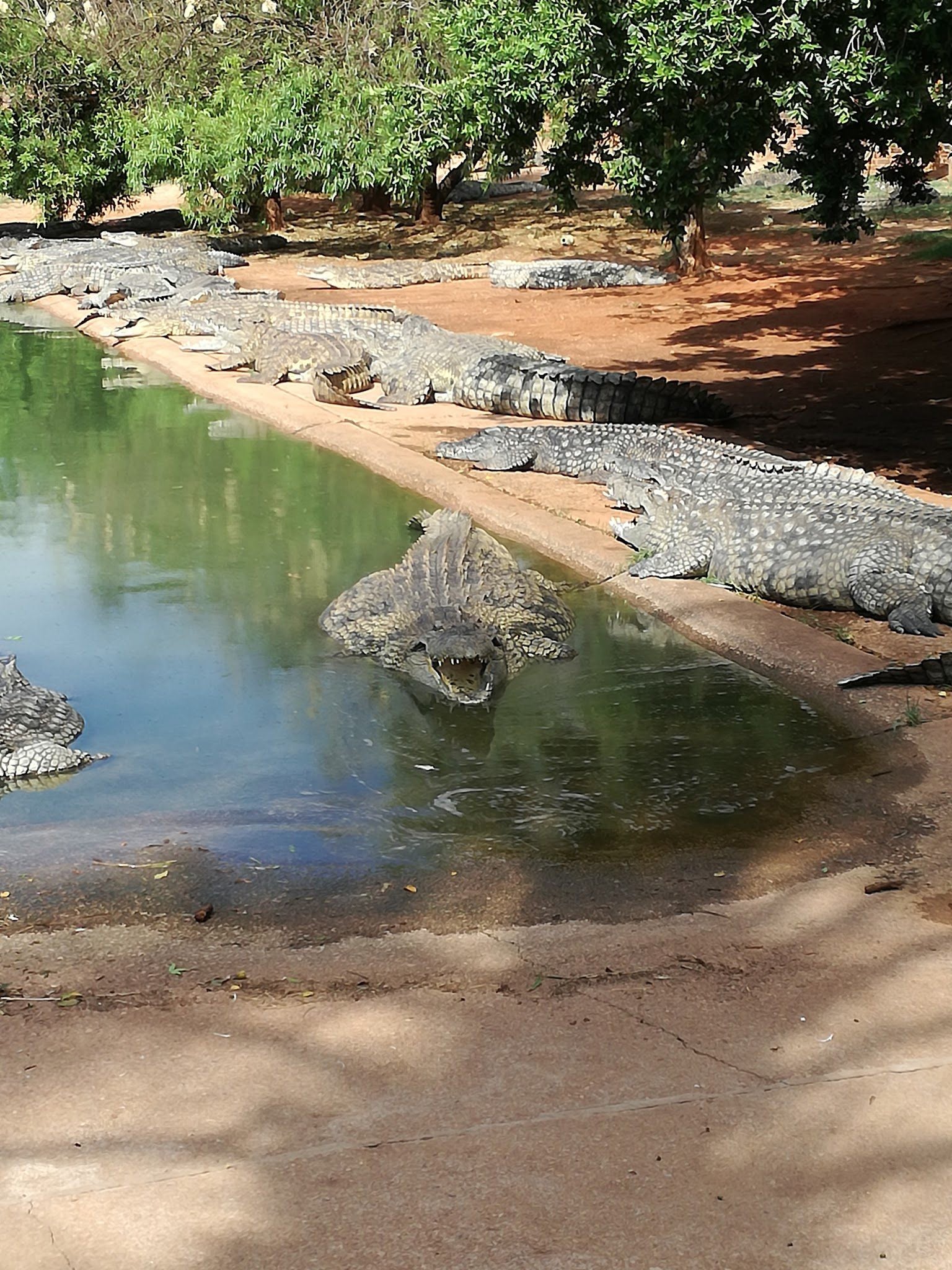  Lalele Crocodile Farm