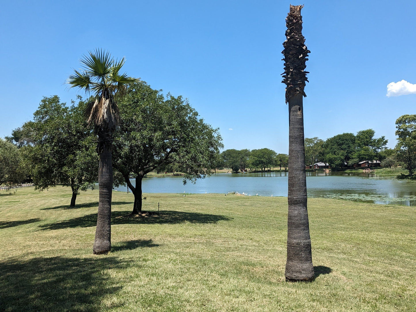  Lalele Crocodile Farm