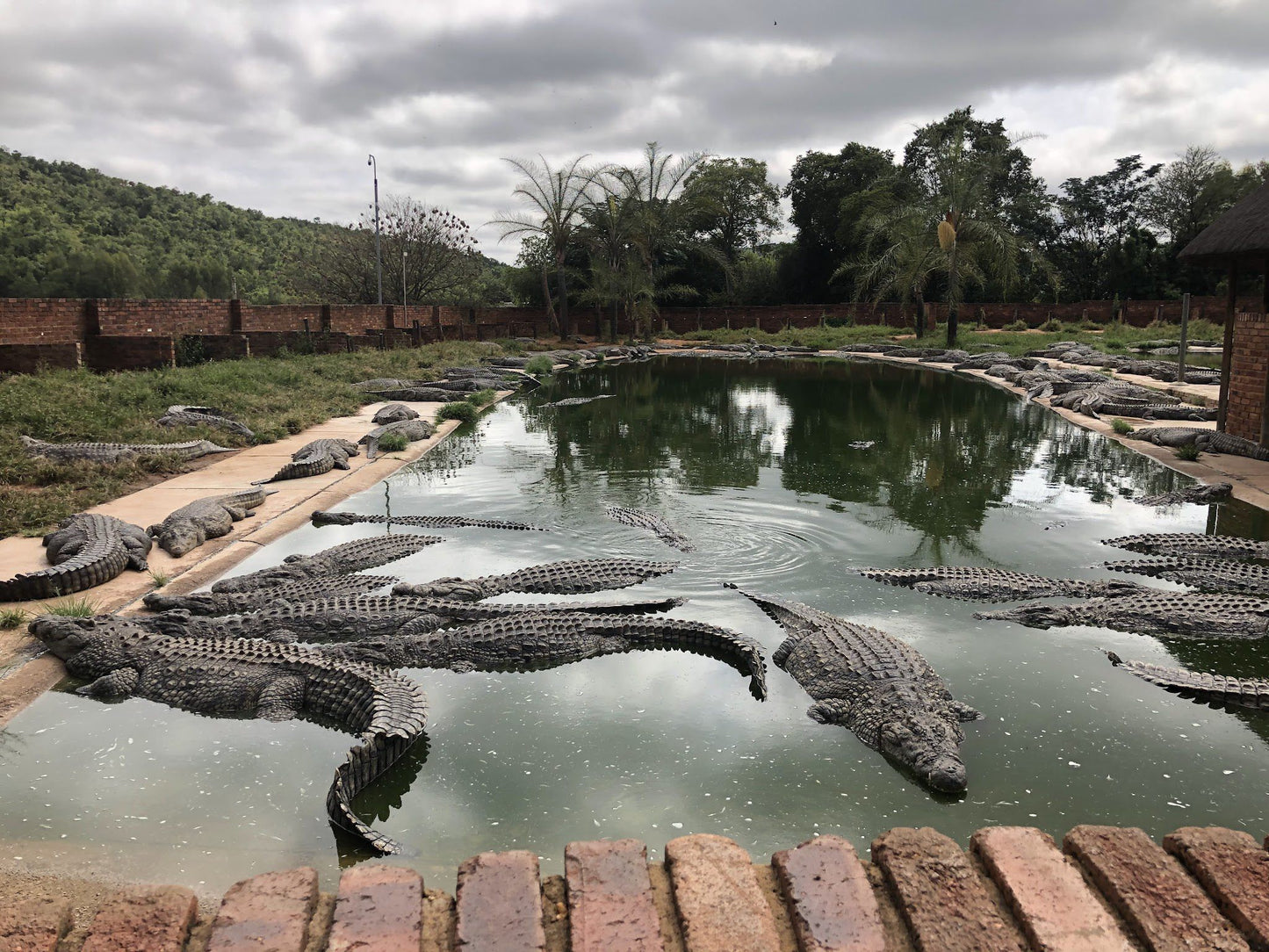  Lalele Crocodile Farm