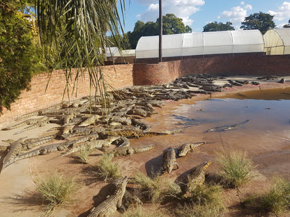  Lalele Crocodile Farm