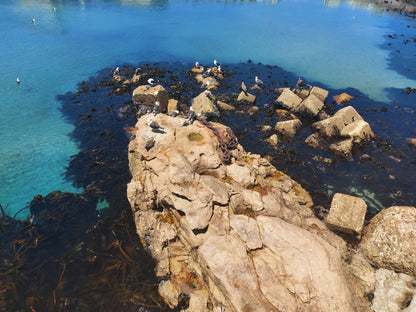  Lambert's Bay Beach (Meeuland)