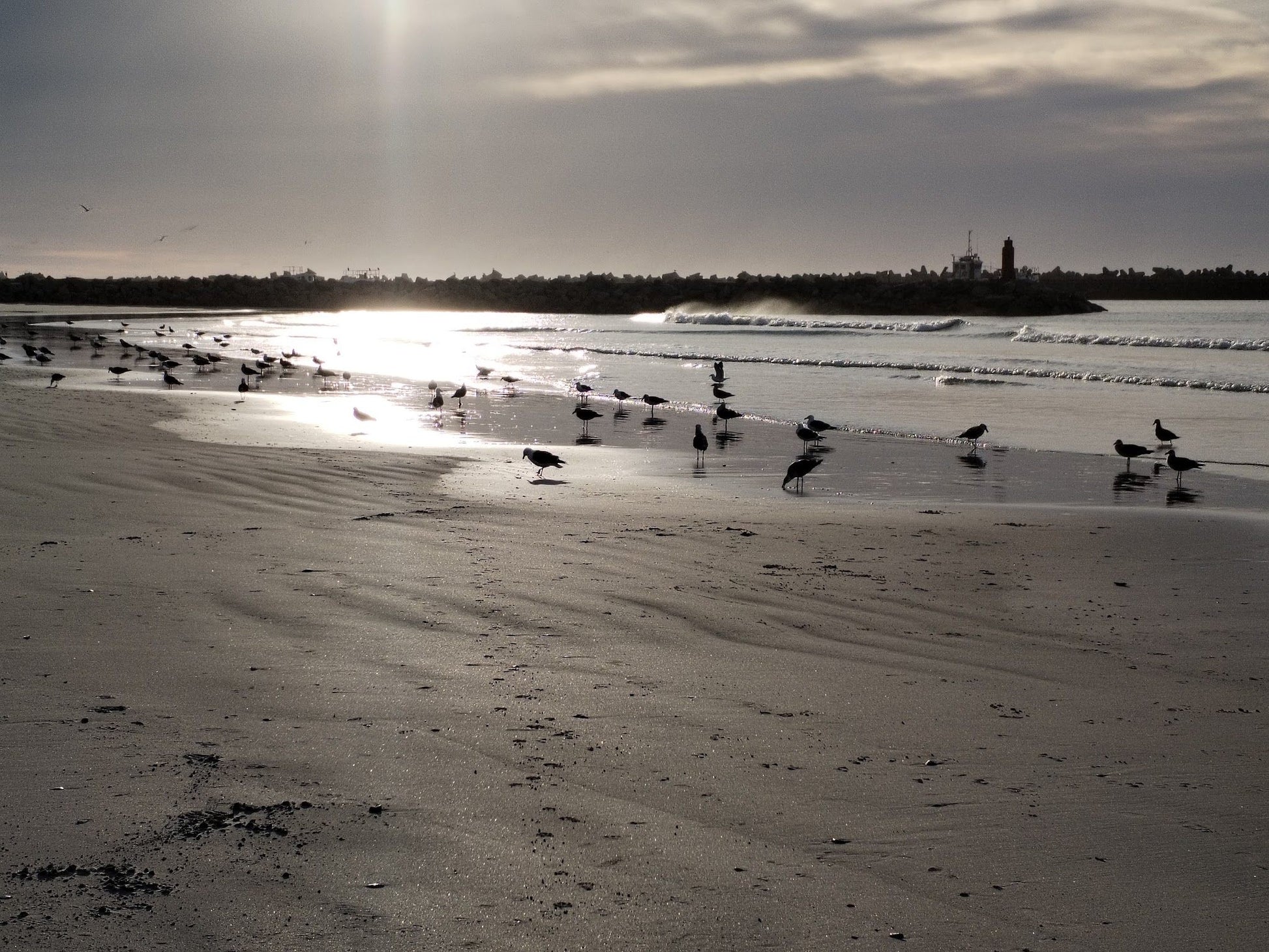  Lambert's Bay Beach (Meeuland)