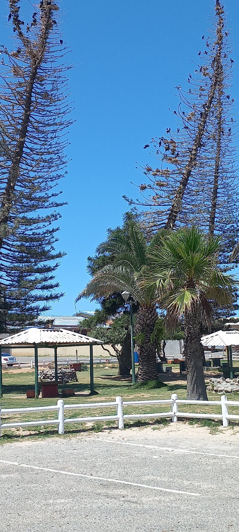  Lambert's Bay Beach (Meeuland)