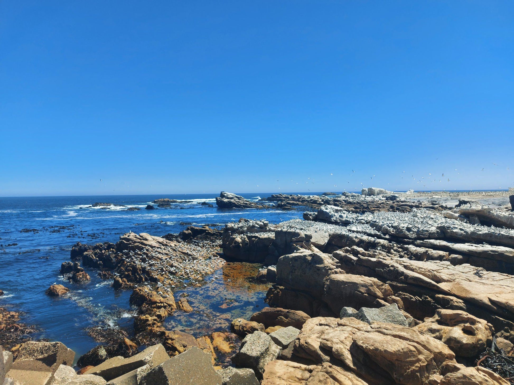  Lambert's Bay Beach (Meeuland)