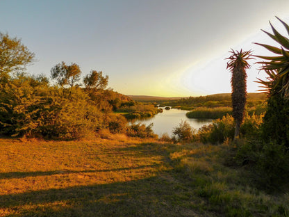  Lang Elsie's Kraal Rest Camp