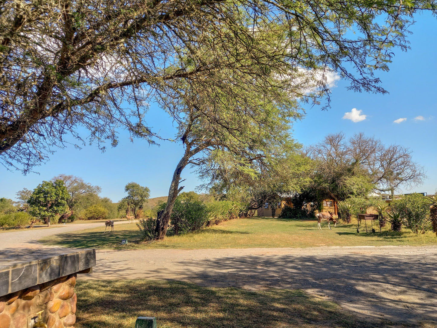  Lang Elsie's Kraal Rest Camp