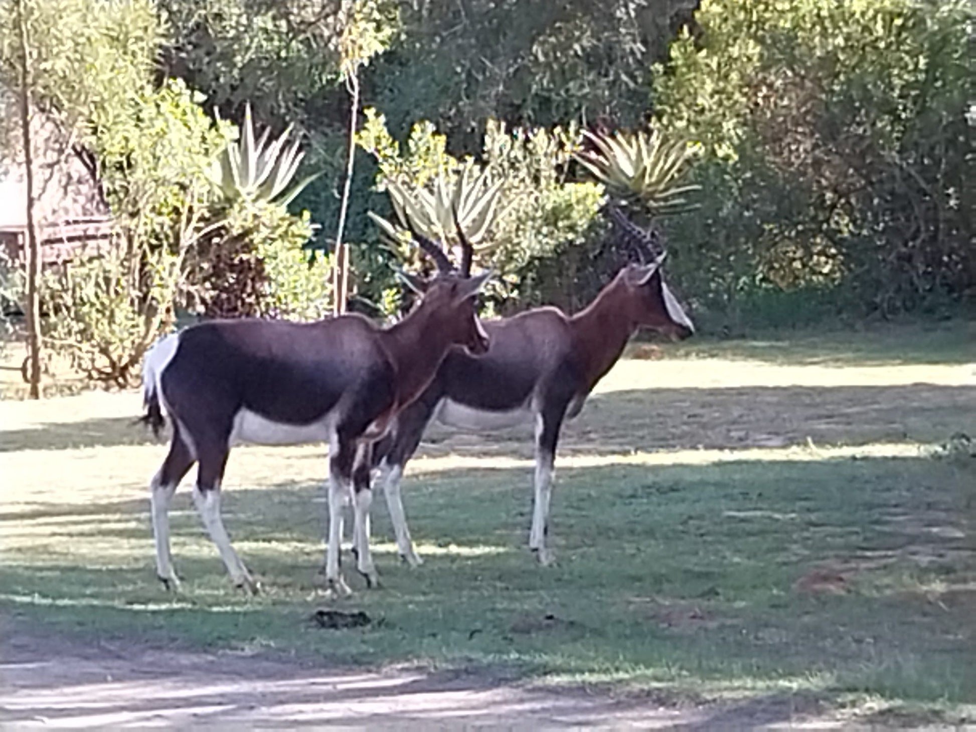  Lang Elsie's Kraal Rest Camp