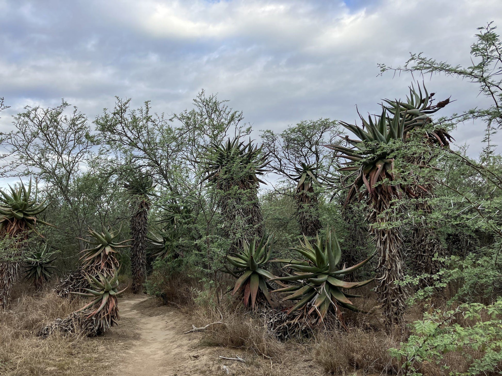  Lang Elsie's Kraal Rest Camp